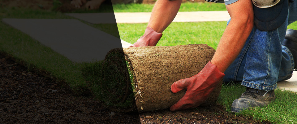 West Des Moines Landscapers